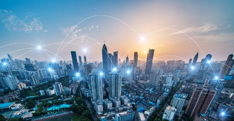 郑州jinnian金年会有限公司-产业布局