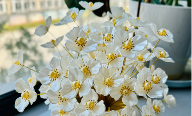 春风十里,风华如你