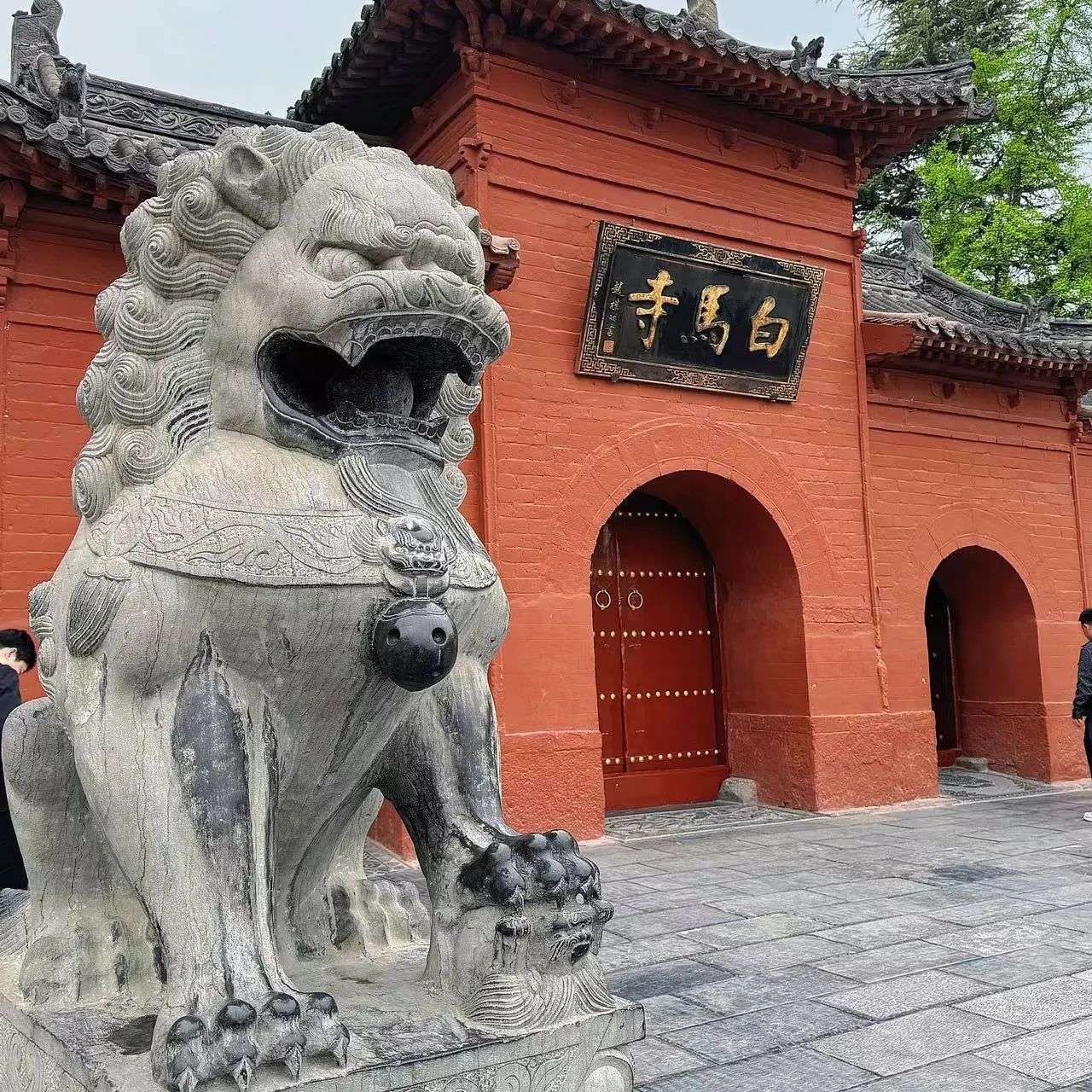 遇春之美,踏春而行 遇春之美,踏春而行