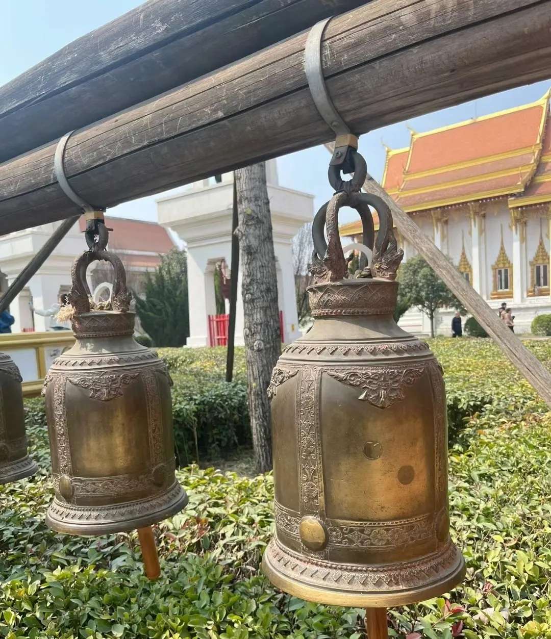 遇春之美,踏春而行 遇春之美,踏春而行